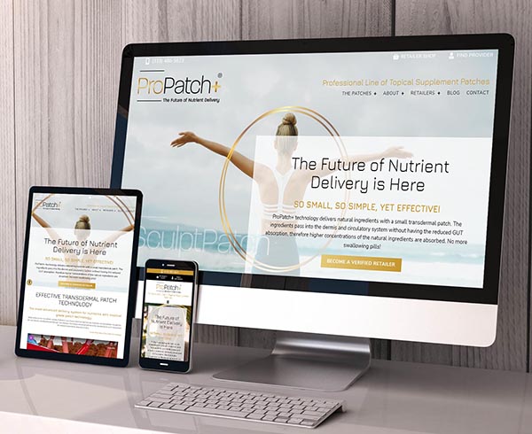 ProPatch website screenshot