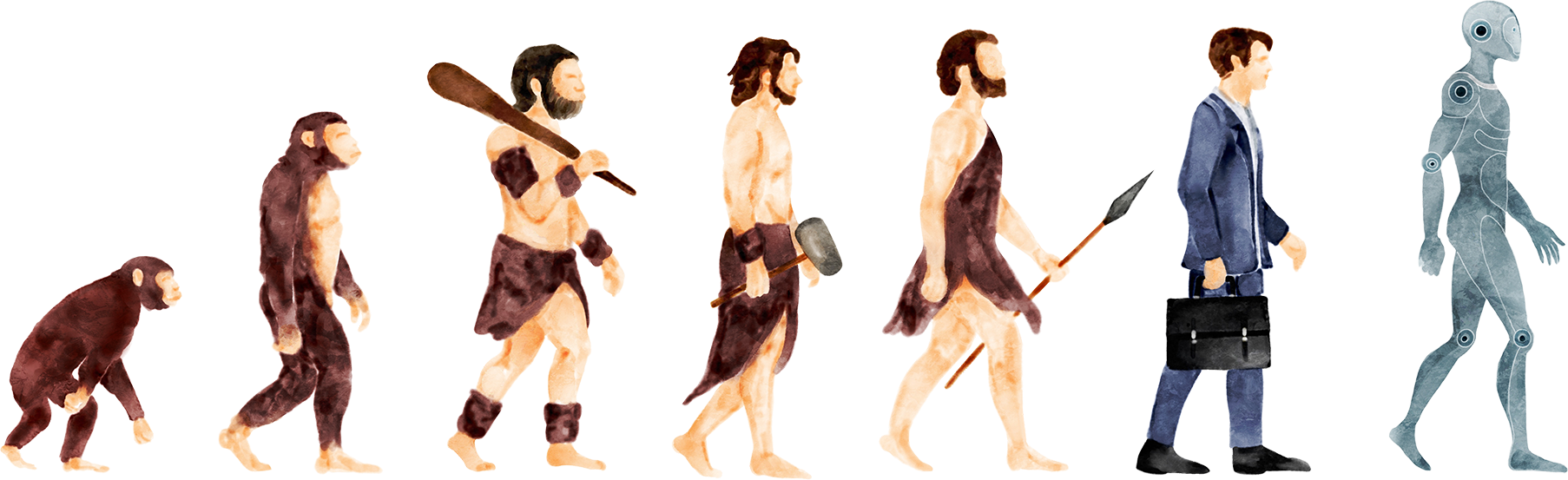 Evolution